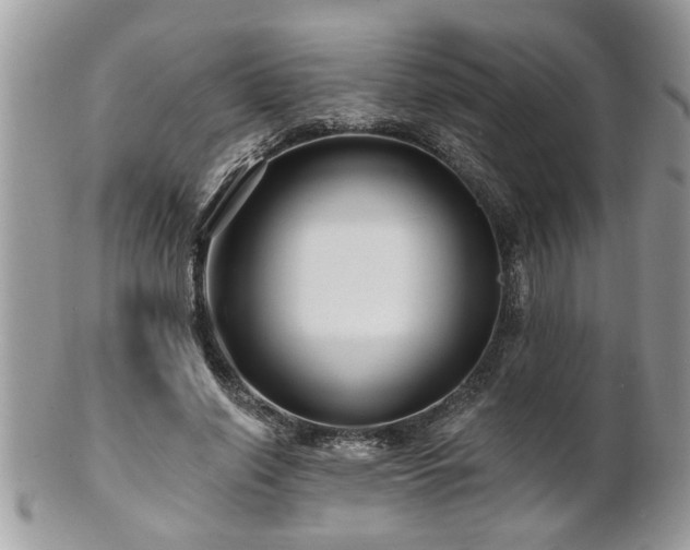 X0000100970638200807011421