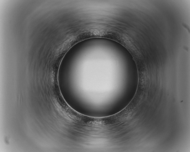 X0000100970639200807011421