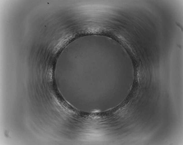 X0000100970640200807011421