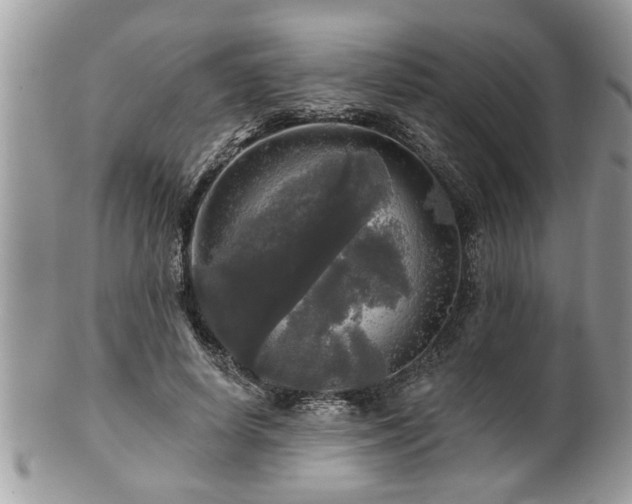 X0000100970642200807011421