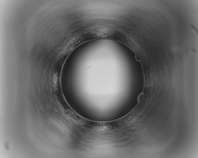 X0000100970646200807011421