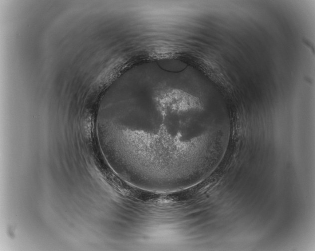 X0000100970647200807011421