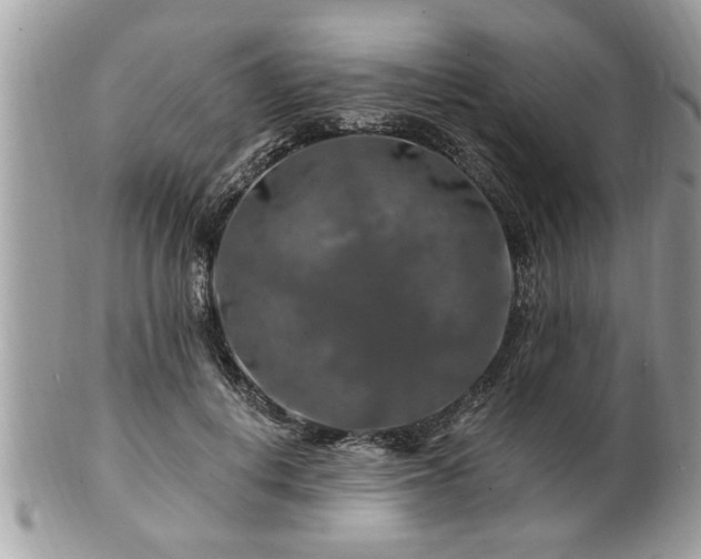 X0000100970648200807011421