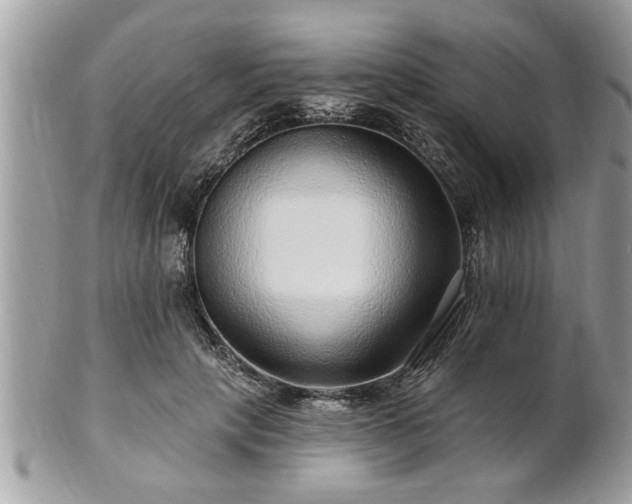 X0000100970649200807011421