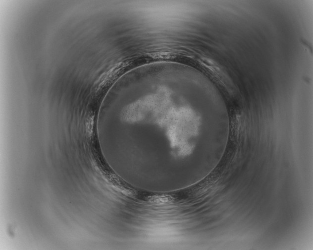 X0000100970652200807011422