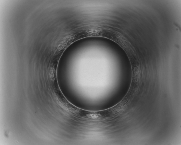 X0000100970654200807011422