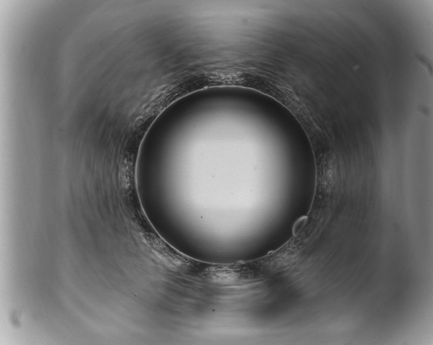 X0000100970658200807011422