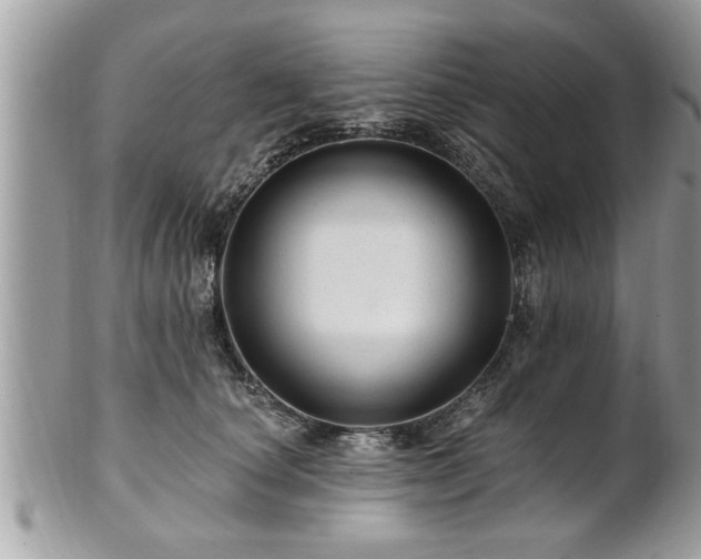 X0000100970660200807011422