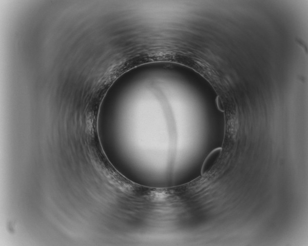 X0000100970662200807011422