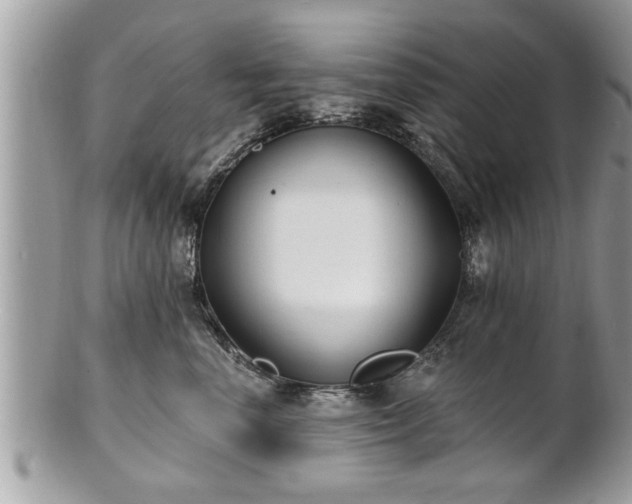 X0000100970666200807011422