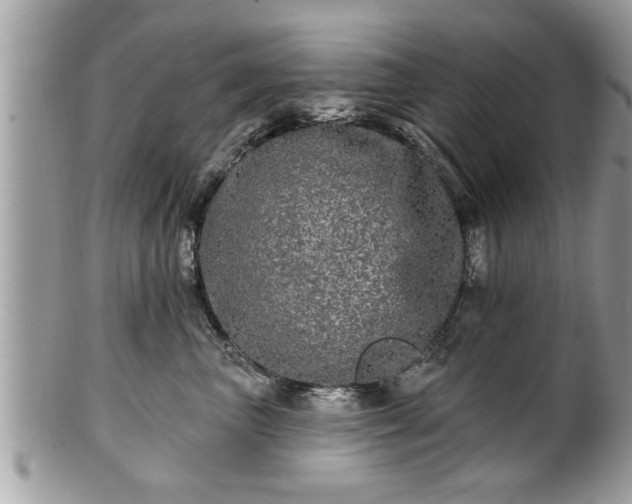 X0000100970667200807011422