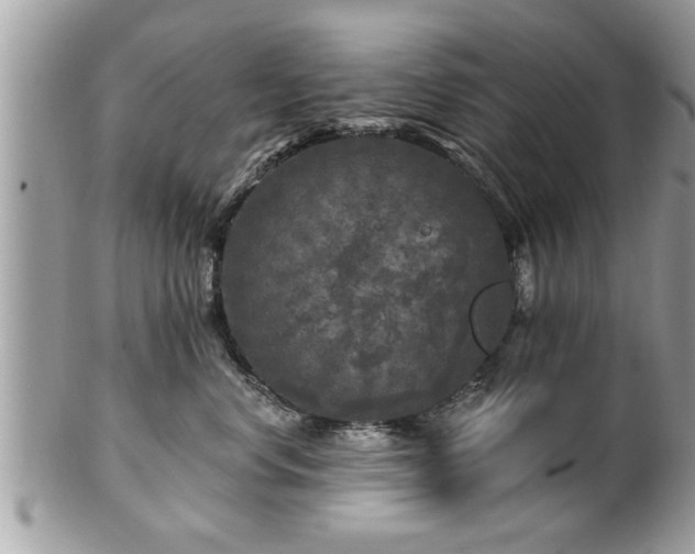 X0000100970668200807011422