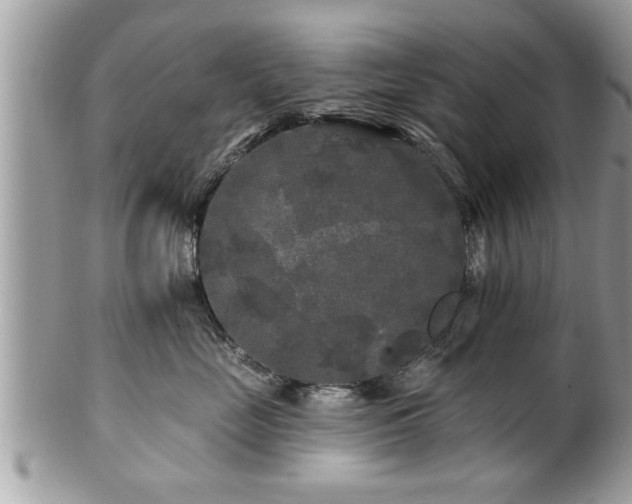 X0000100970669200807011422