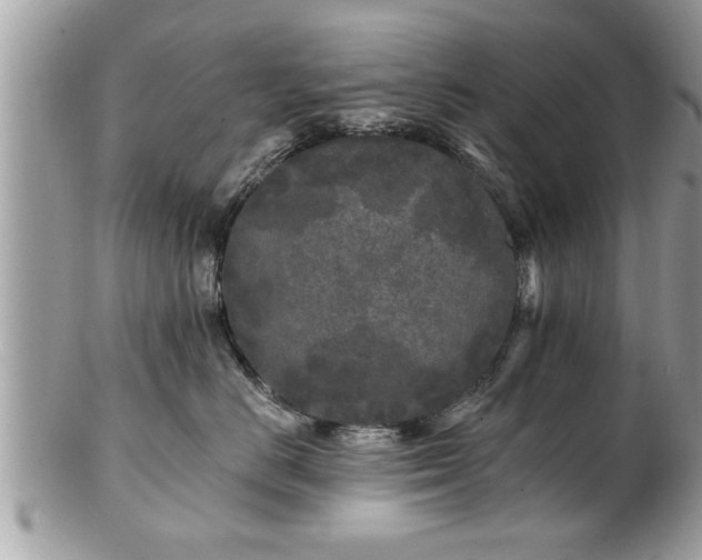 X0000100970670200807011422