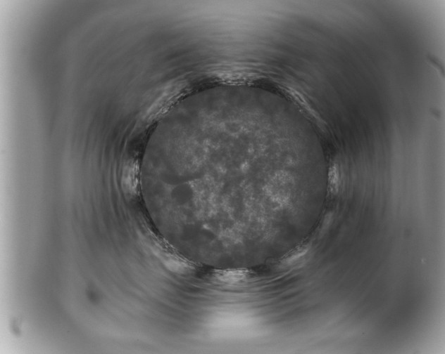 X0000100970671200807011422