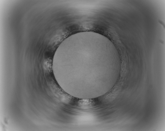 X0000100970672200807011422