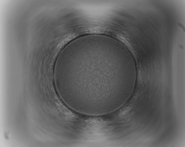 X0000100970673200807011421