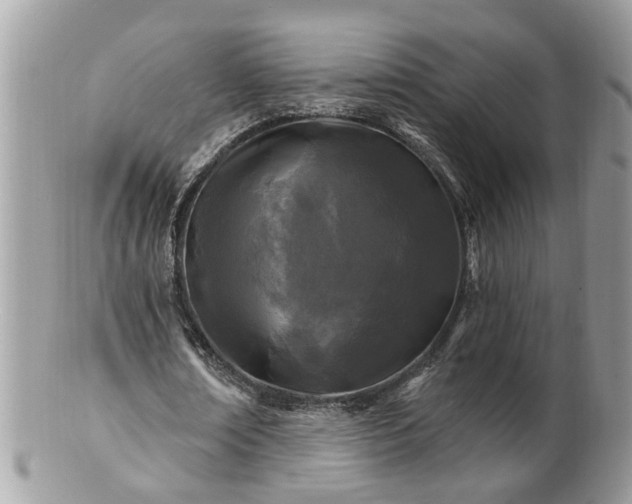 X0000100970674200807011421