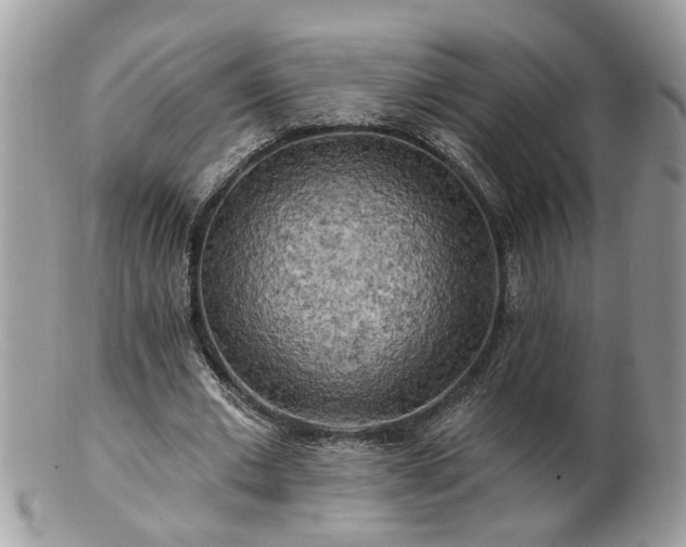 X0000100970677200807011421