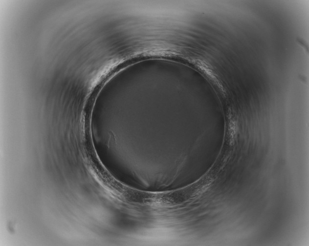 X0000100970678200807011421