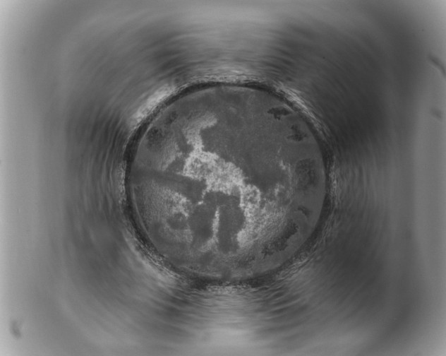 X0000100970679200807011421
