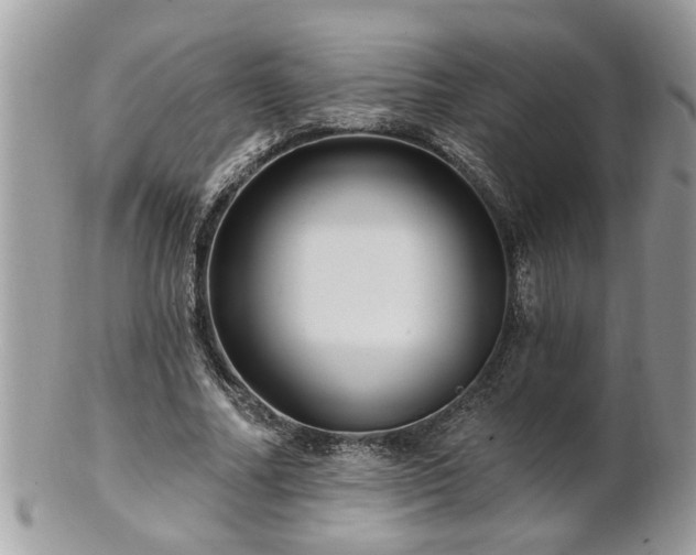 X0000100970682200807011421
