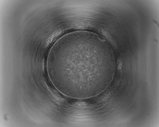 X0000100970685200807011421