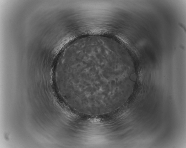X0000100970687200807011421