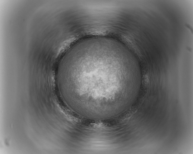 X0000100970688200807011421