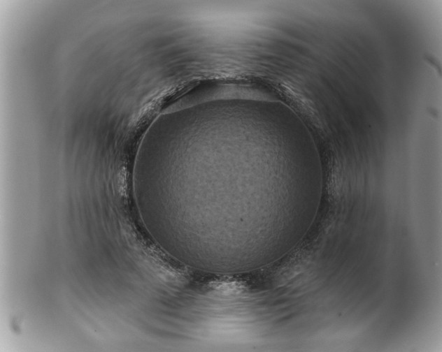 X0000100970689200807011421