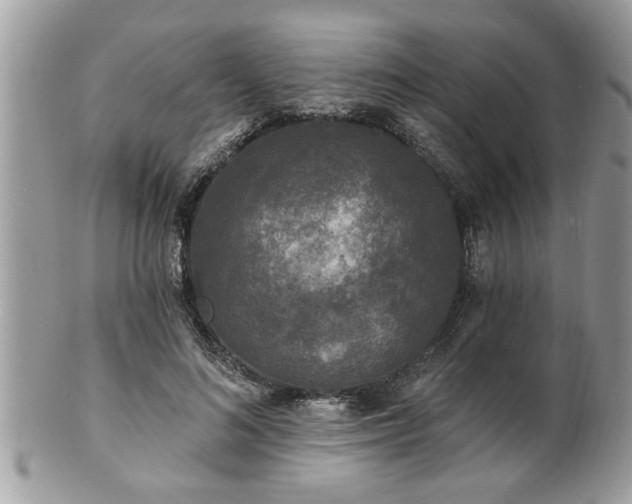 X0000100970692200807011421