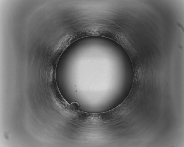 X0000100970694200807011421