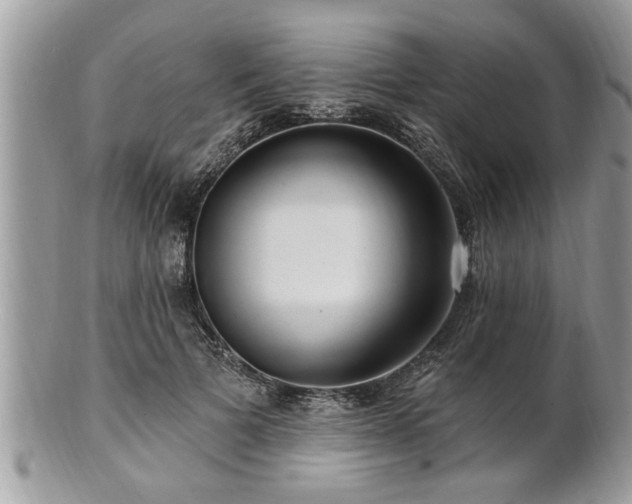 X0000100970697200807011421