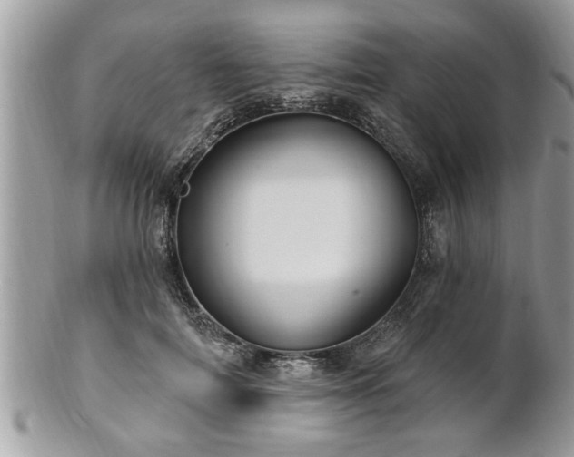 X0000100970698200807011421