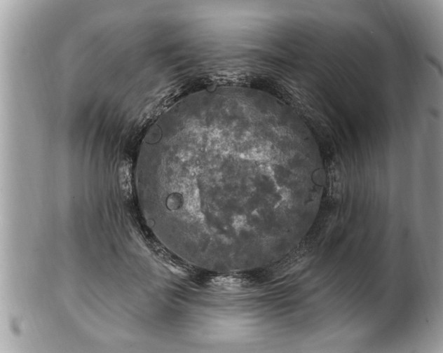 X0000100970699200807011421