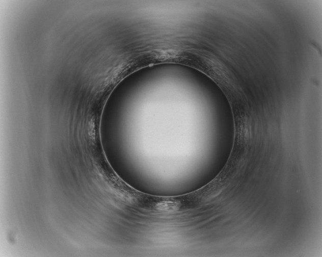 X0000100970700200807011421
