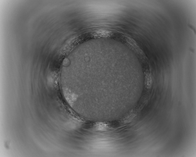 X0000100970701200807011421
