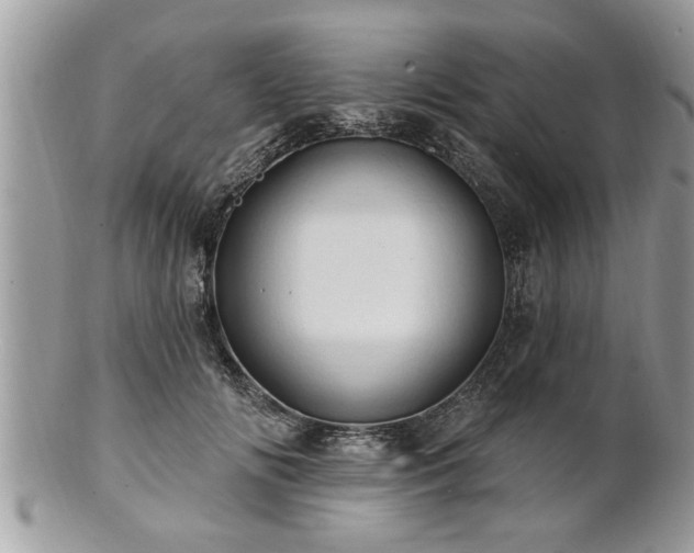 X0000100970702200807011421