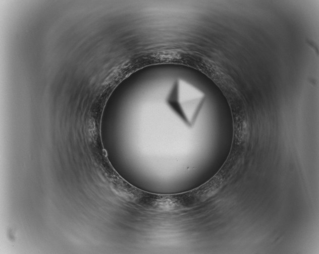 X0000100970704200807011421