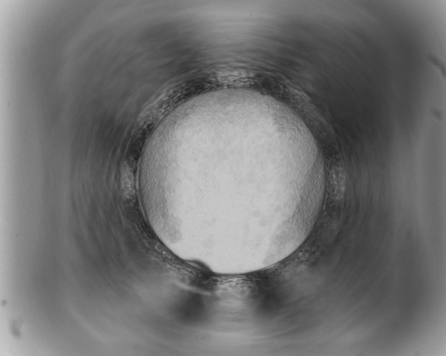 X0000100970705200807011421