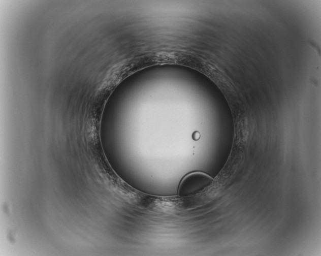 X0000100970706200807011421
