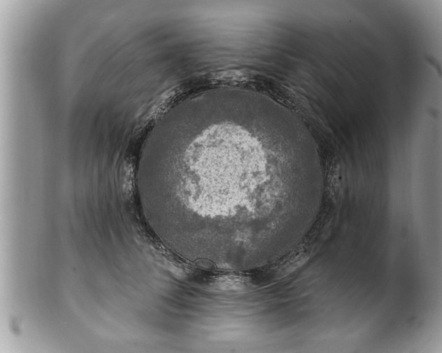 X0000100970708200807011421