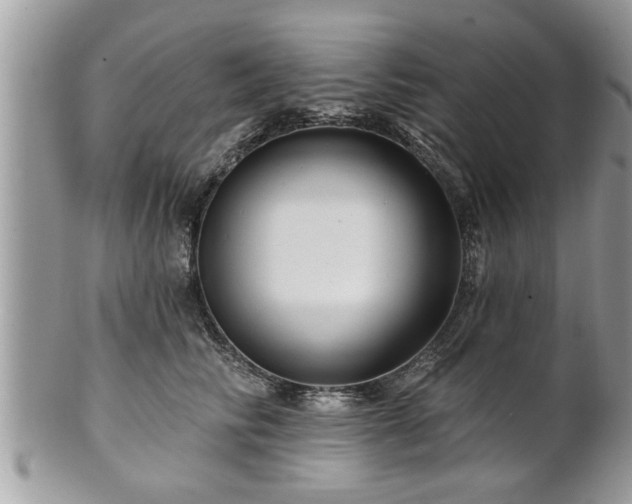 X0000100970710200807011421