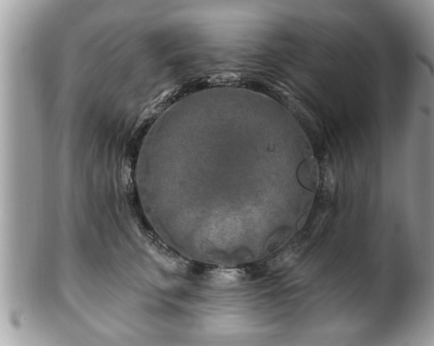 X0000100970711200807011421