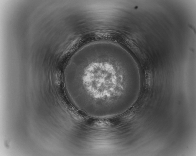 X0000100970712200807011421