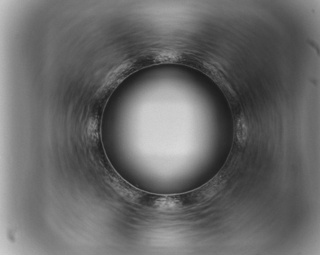 X0000100970714200807011421