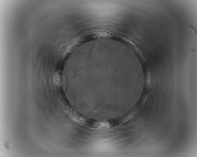 X0000100970715200807011421