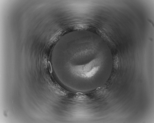X0000100970716200807011421