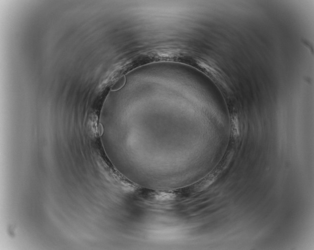 X0000100970718200807011420
