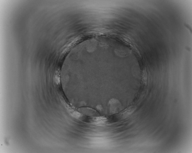 X0000100970719200807011420